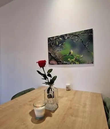 Apartment Appartement Strasbourg Strasbourg